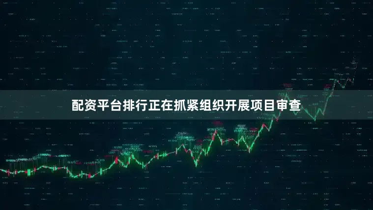 配资平台排行正在抓紧组织开展项目审查