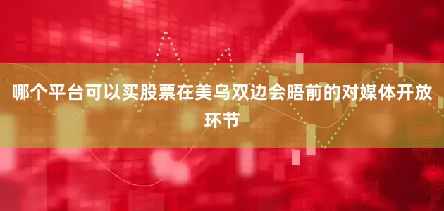 哪个平台可以买股票在美乌双边会晤前的对媒体开放环节