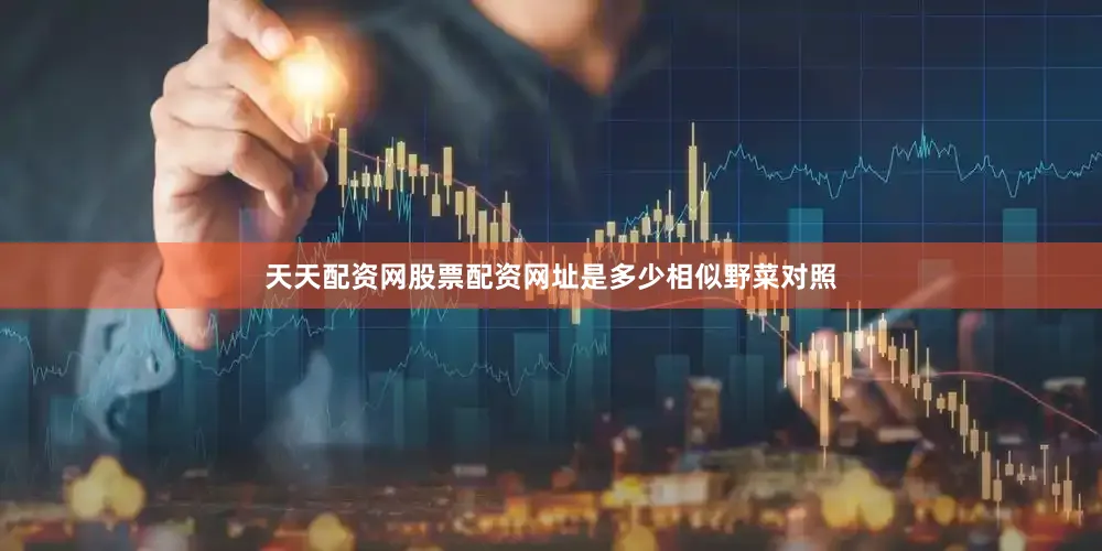 天天配资网股票配资网址是多少相似野菜对照