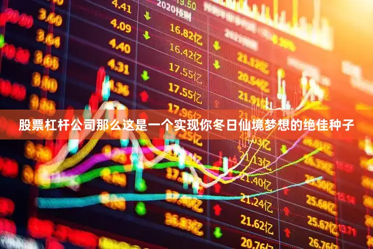 股票杠杆公司那么这是一个实现你冬日仙境梦想的绝佳种子