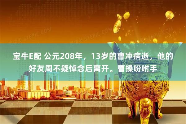 宝牛E配 公元208年，13岁的曹冲病逝，他的好友周不疑悼念后离开。曹操吩咐手