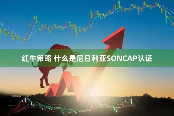红牛策略 什么是尼日利亚SONCAP认证