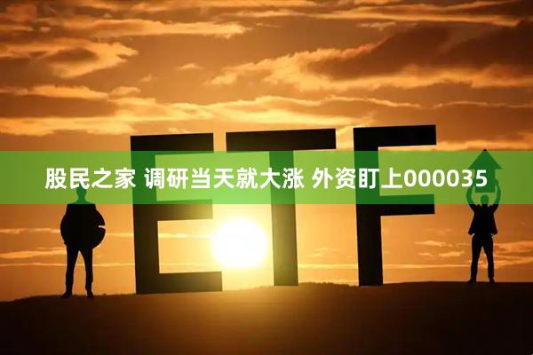 股民之家 调研当天就大涨 外资盯上000035