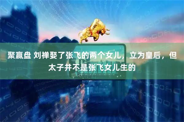 聚赢盘 刘禅娶了张飞的两个女儿，立为皇后，但太子并不是张飞女儿生的