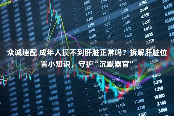 众诚速配 成年人摸不到肝脏正常吗？拆解肝脏位置小知识，守护“沉默器官”