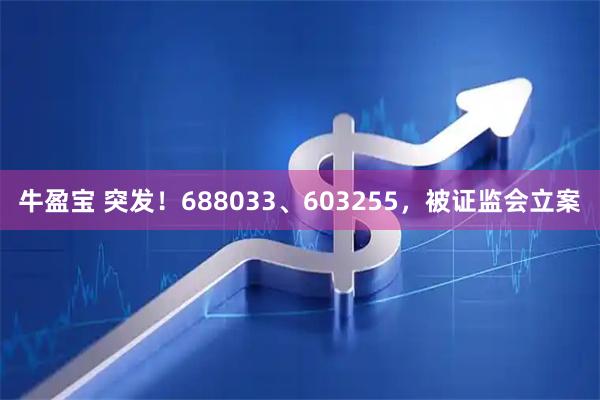 牛盈宝 突发！688033、603255，被证监会立案