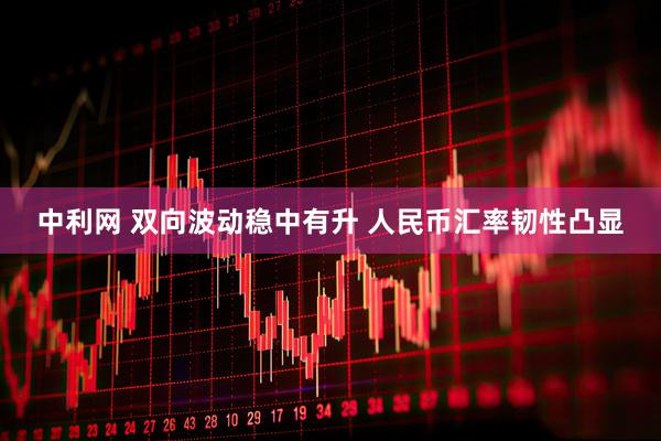 中利网 双向波动稳中有升 人民币汇率韧性凸显